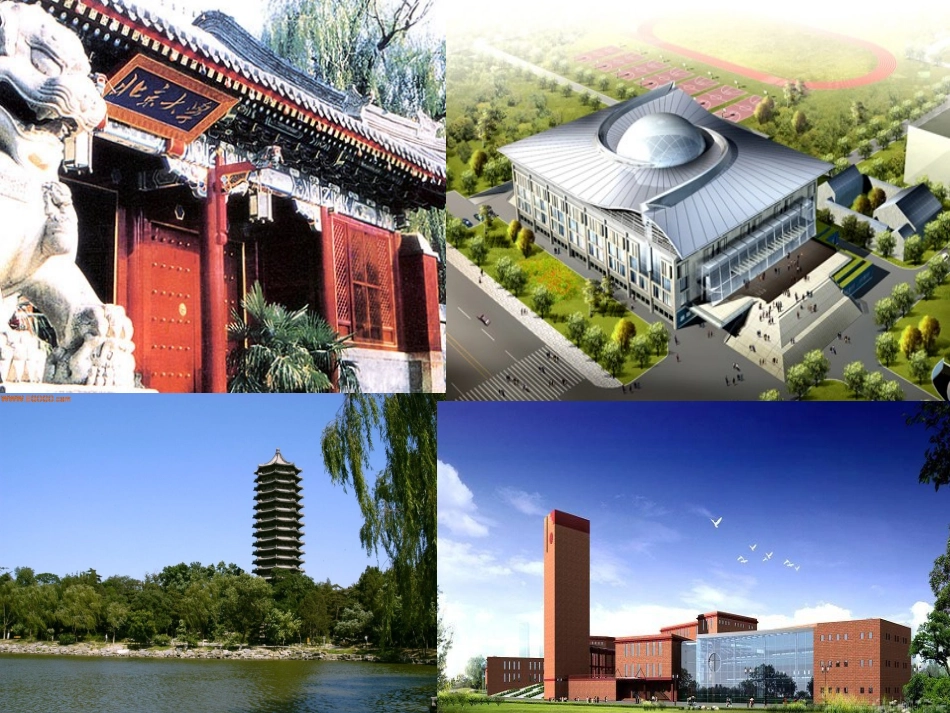 《奋斗成就人生梦想努力点燃大学希望》主题班会_第3页