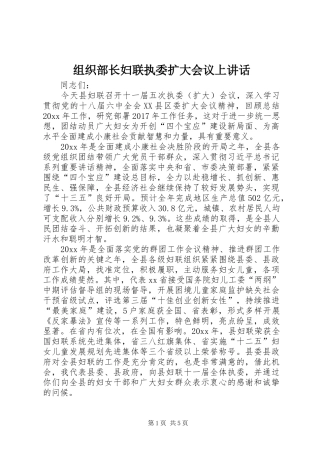组织部长妇联执委扩大会议上讲话发言