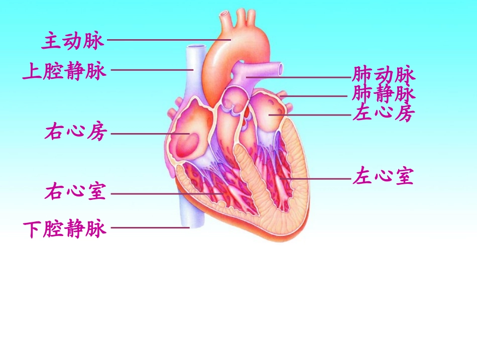 威胁健康的主要疾病_第3页