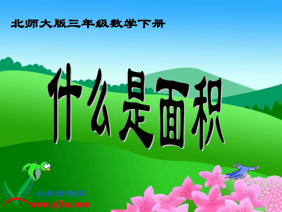 《什么是面积》PPT课件_第2页