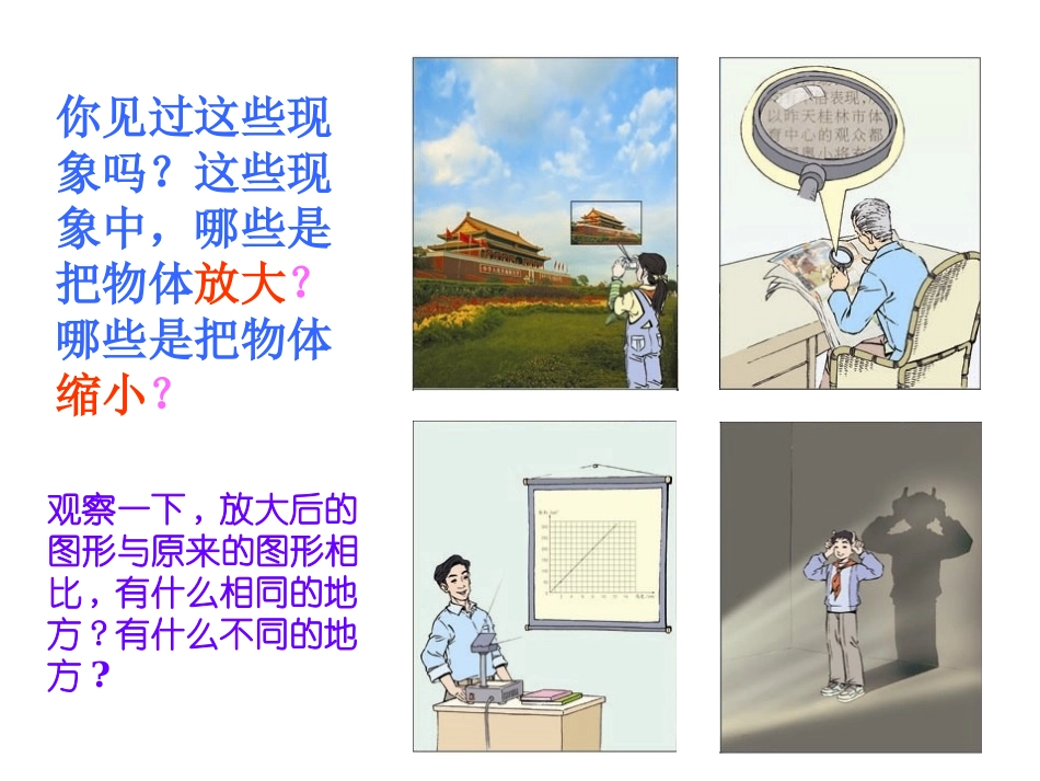 北师大版图形的放缩_第2页