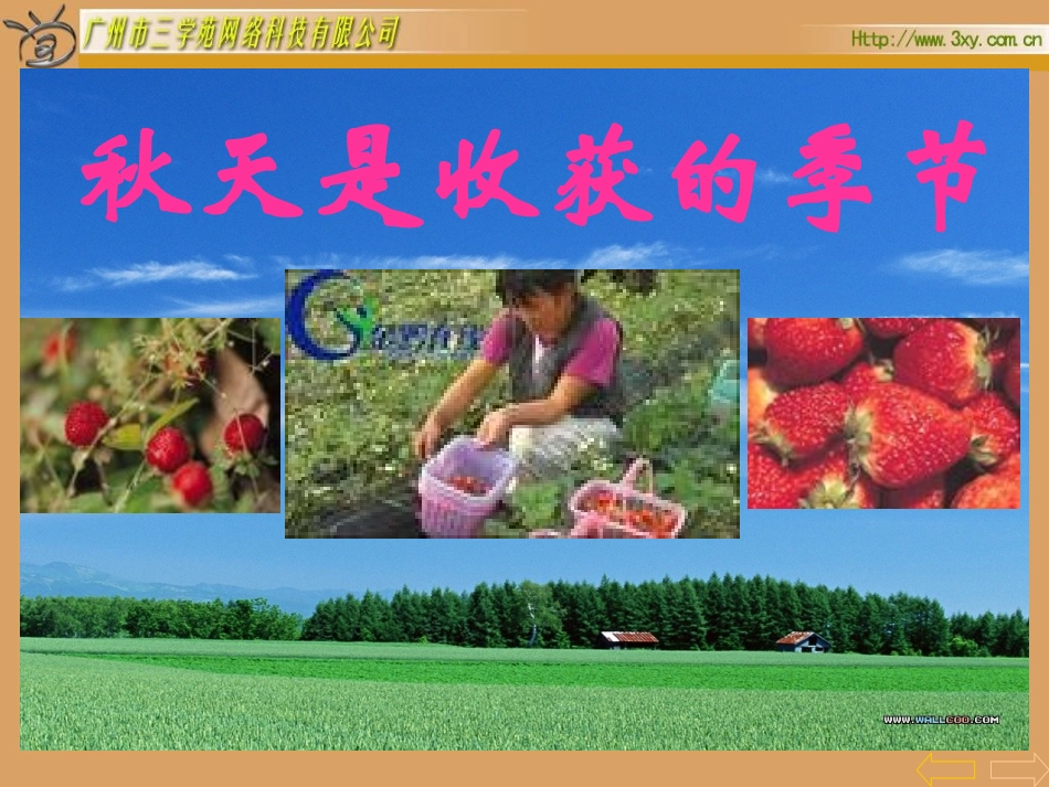 除法的初步认识 (3)_第3页