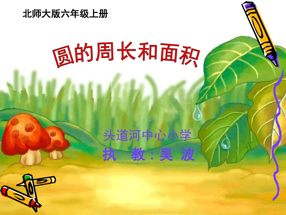 六年级数学圆的周长面积复习课_第2页