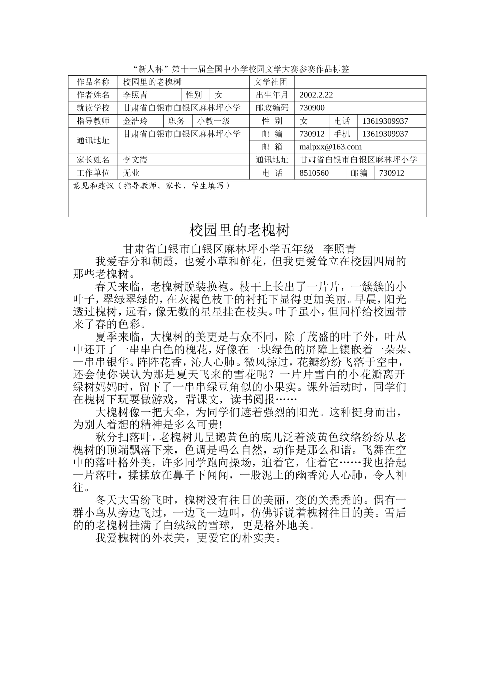 校园里的老槐树_第1页