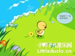 音乐迷路的小花鸭。