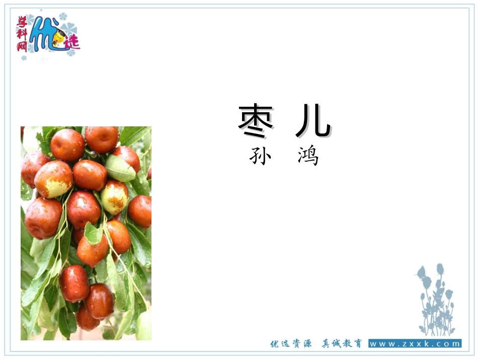 《枣儿》PPT_第2页