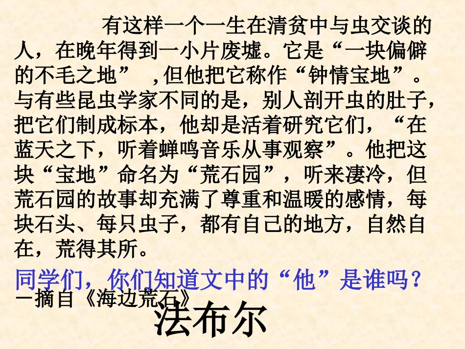 松鼠金龟子课件2_第1页