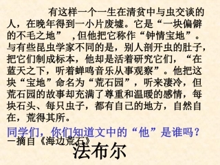 松鼠金龟子课件2