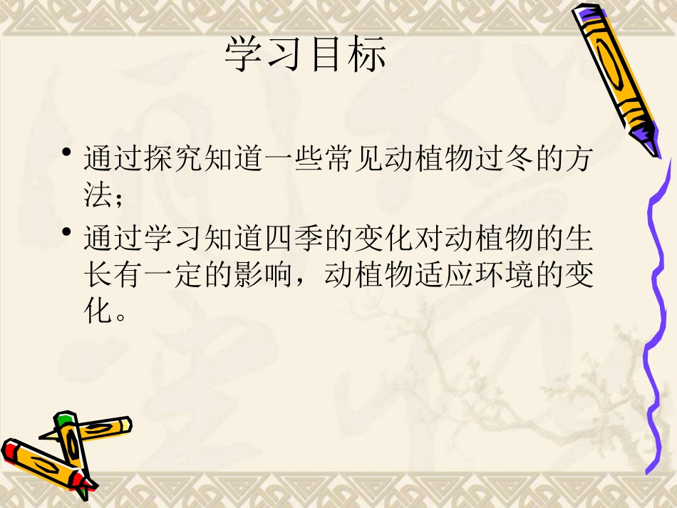 预备班科学上册课件_第2页