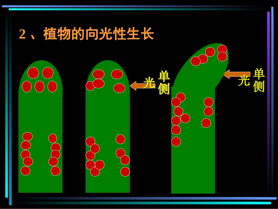 植物的激素调节_第3页