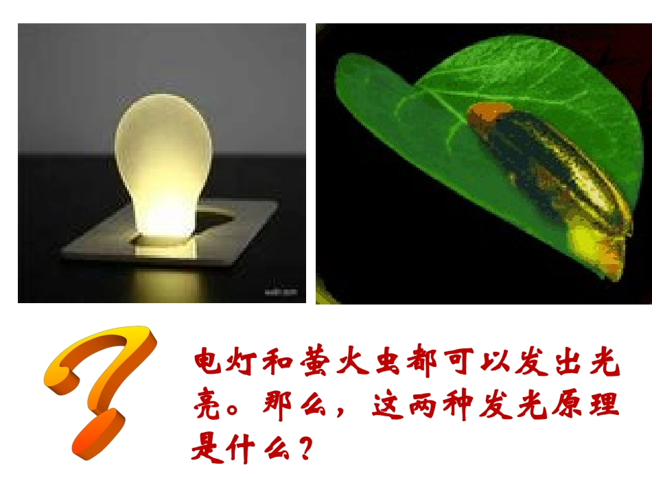 细胞的能量通货-ATP_第3页