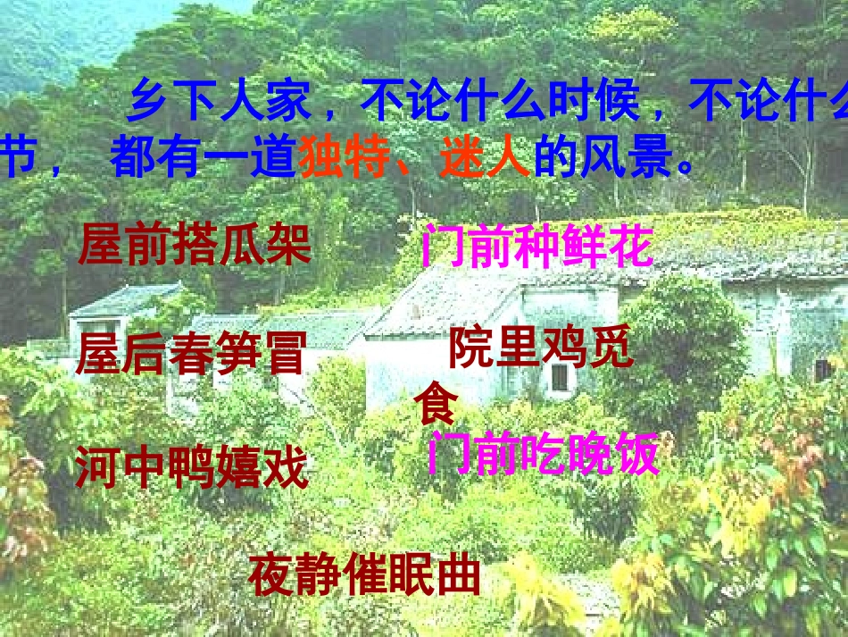 四年级下册21乡下人家课件_第3页