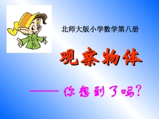 （北师大版）四年级数学课件观察物体1