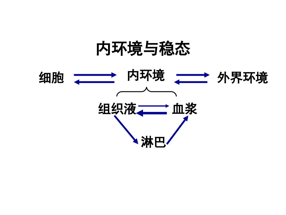 人体稳态的调节_第1页