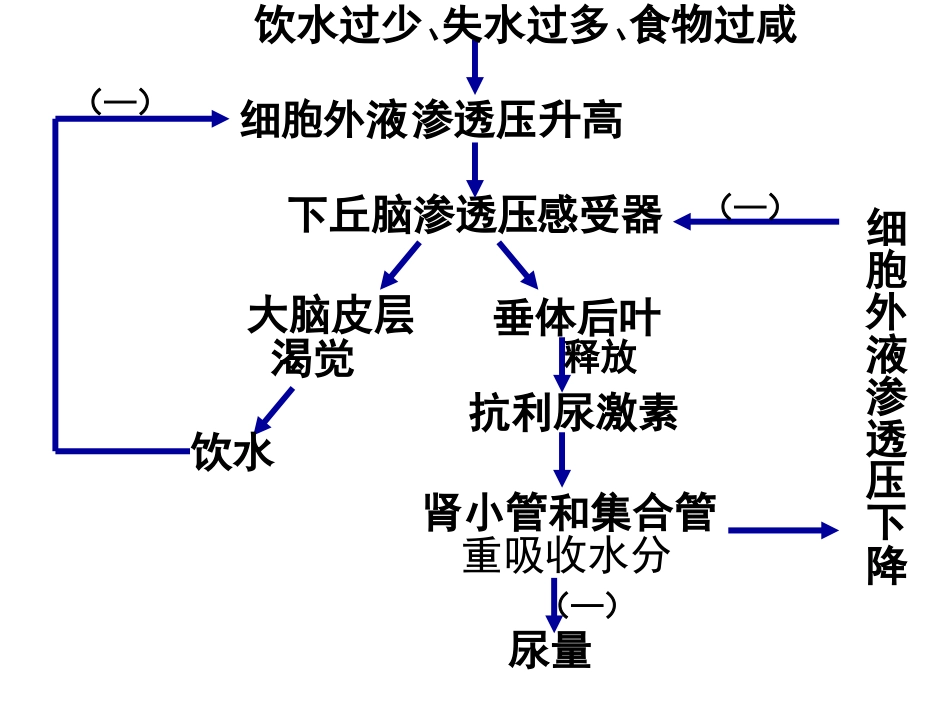 人体稳态的调节_第3页