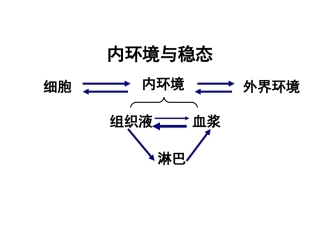 人体稳态的调节