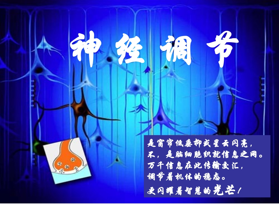 人教版必修三第2章第1节神经调节（共60张PPT）_第1页