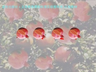 石榴笑了课件