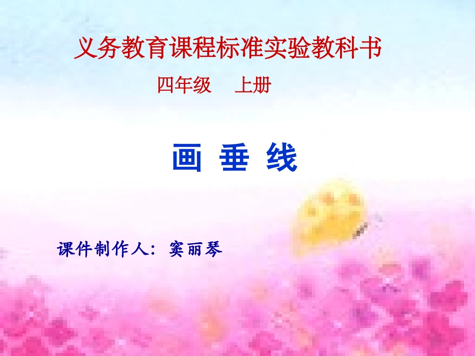 垂线窦丽琴 (2)_第1页