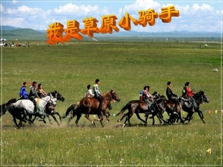我是草原小骑手 (2)