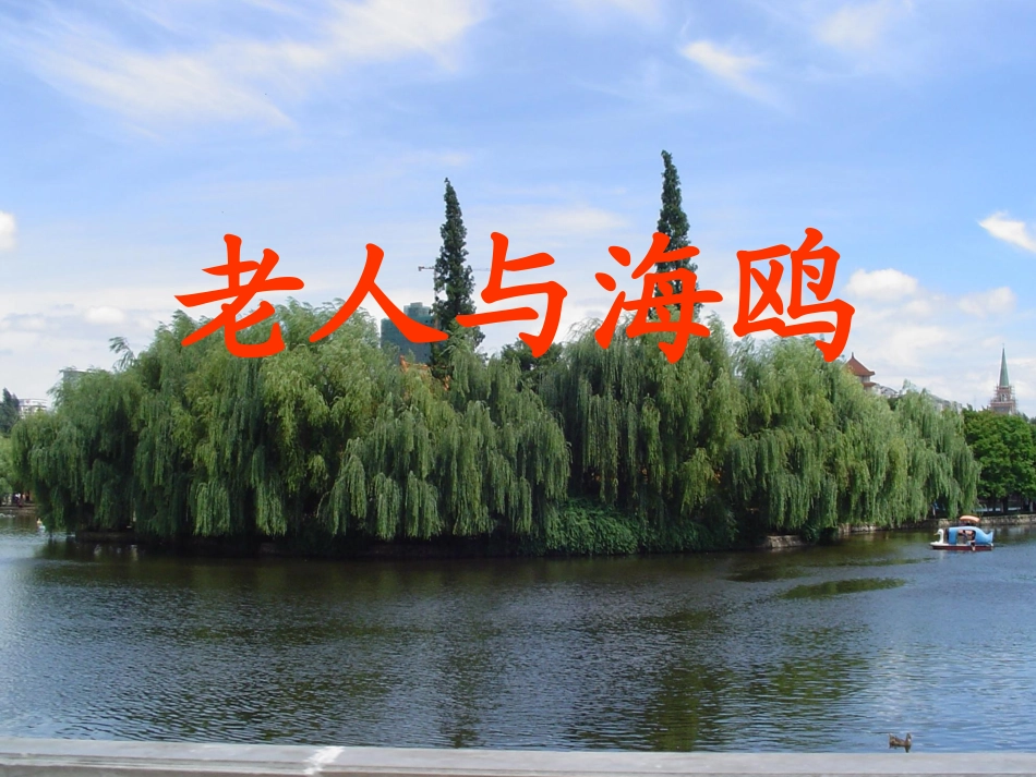 (顾振高)人教版六年级语文上册《老人与海鸥》欣赏_第1页