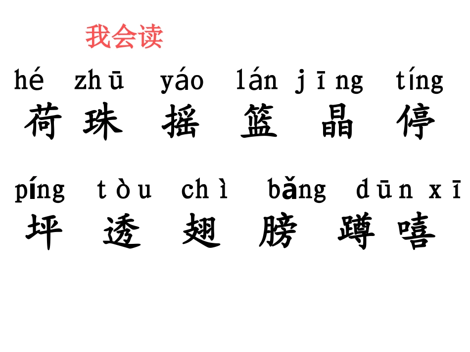 荷叶圆圆第二课时_第2页