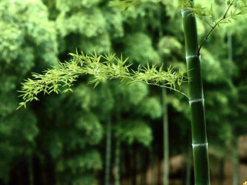 利润2012年12月19日_第1页