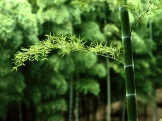 利润2012年12月19日