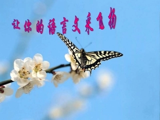 《让你的语言文采飞扬》课件