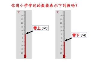 北师大版八年级数学上册21有理数