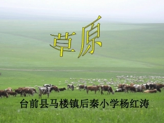 杨红涛草原PPT课件