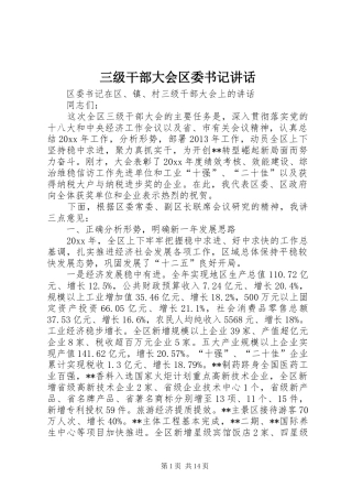 三级干部大会区委书记讲话发言