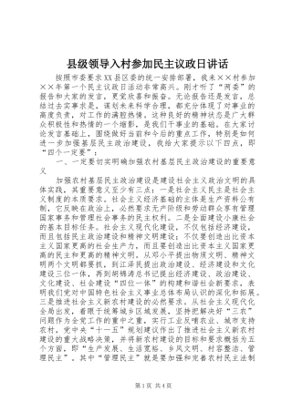 县级领导入村参加民主议政日讲话发言