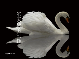 纸天鹅的制作