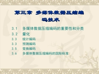 多媒体数据编码技术