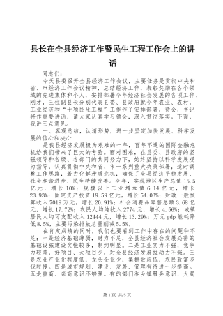 县长在全县经济工作暨民生工程工作会上的讲话发言
