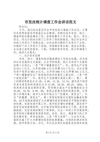市发改统计调查工作会讲话发言范文