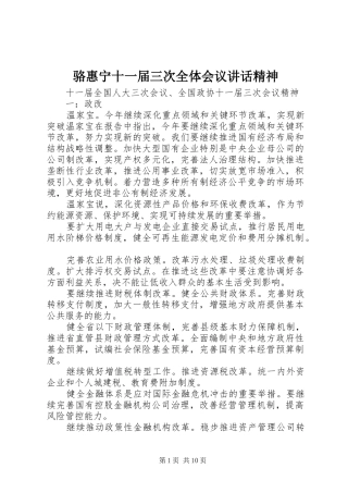 骆惠宁十一届三次全体会议讲话发言精神