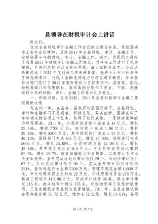 县领导在财税审计会上讲话发言