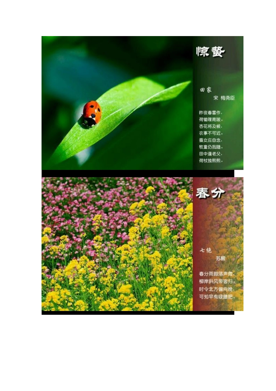 二十四节气古诗_第3页