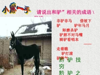 黔之驴 (2)
