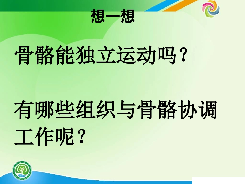 骨骼、关节和肌肉(修改后定稿)_第3页