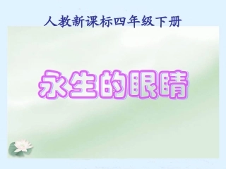《永生的眼睛》PPT课件