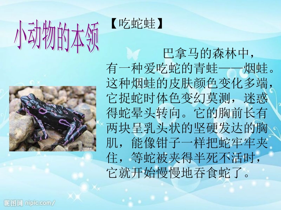 大自然的秘密公开课课件_第3页