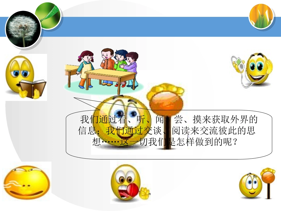 我们的大脑教学课件_第3页