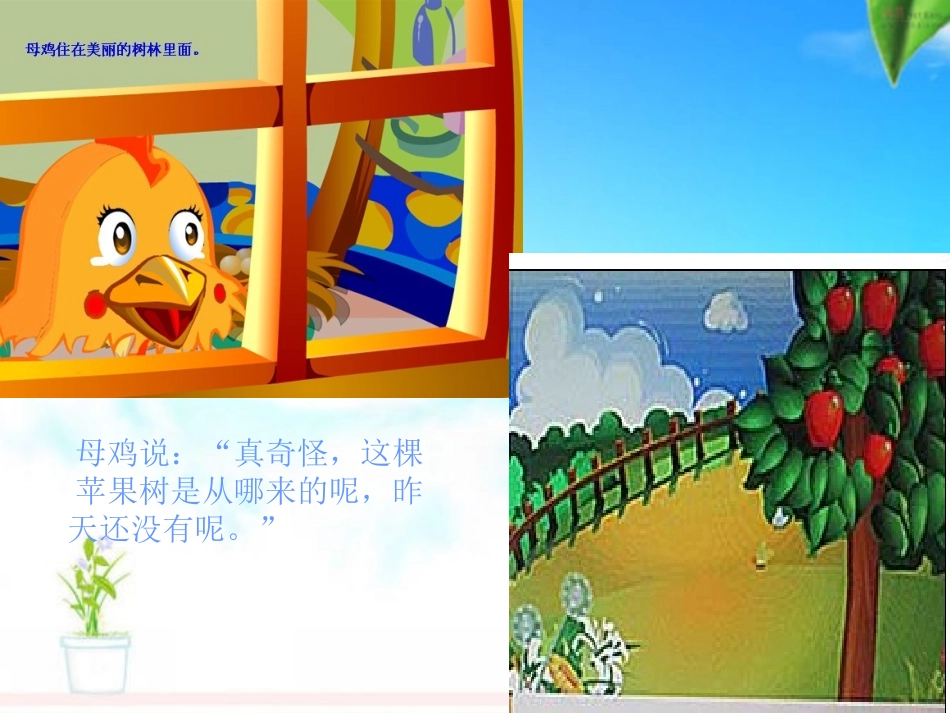 母鸡和苹果树_第3页