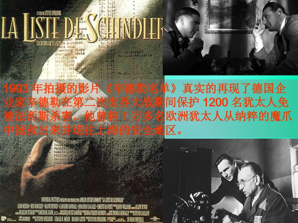 （语文A版）四年级语文上册课件生命的签证2_第2页