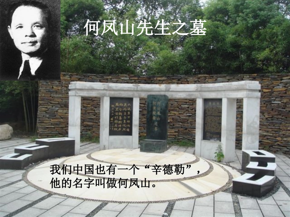 （语文A版）四年级语文上册课件生命的签证2_第3页