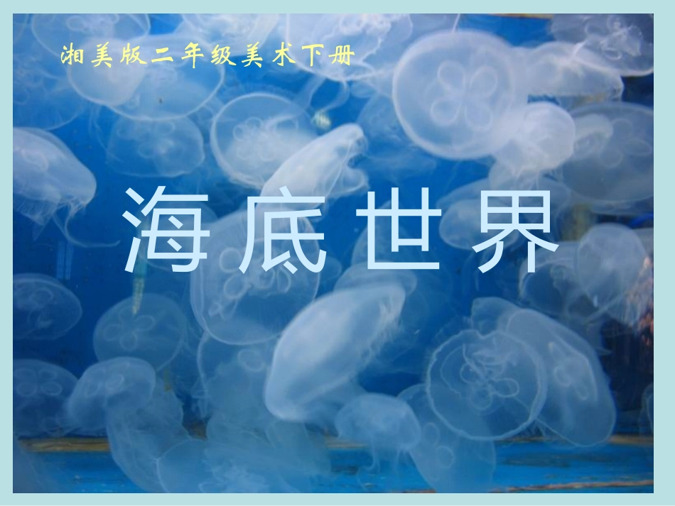 （湘美版）二年级美术下册课件海底世界3_第1页