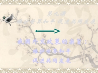 我国外交政策的宗旨